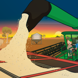 George the Farmer Harvest Hiccup Picture Book