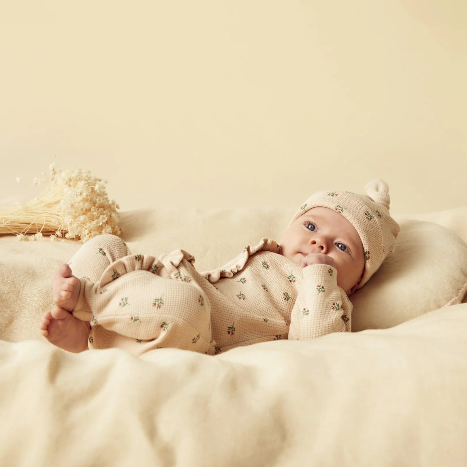 Wilson and Frenchy Organic Zipsuit - Emily Floral