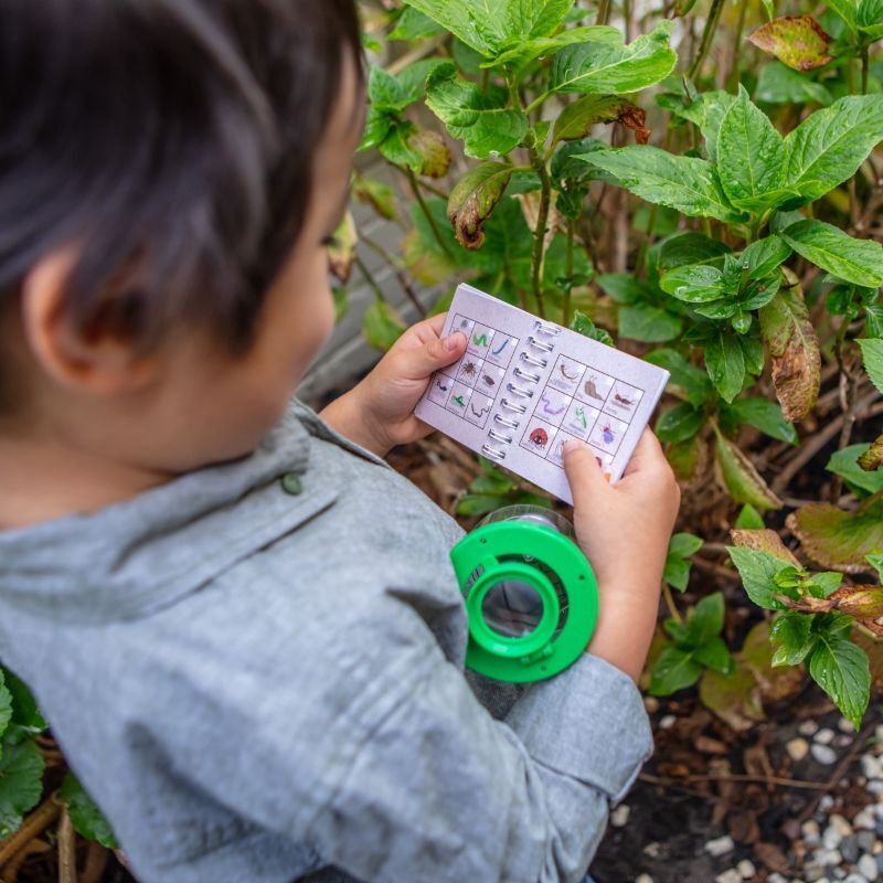 Bug Spotter Kit