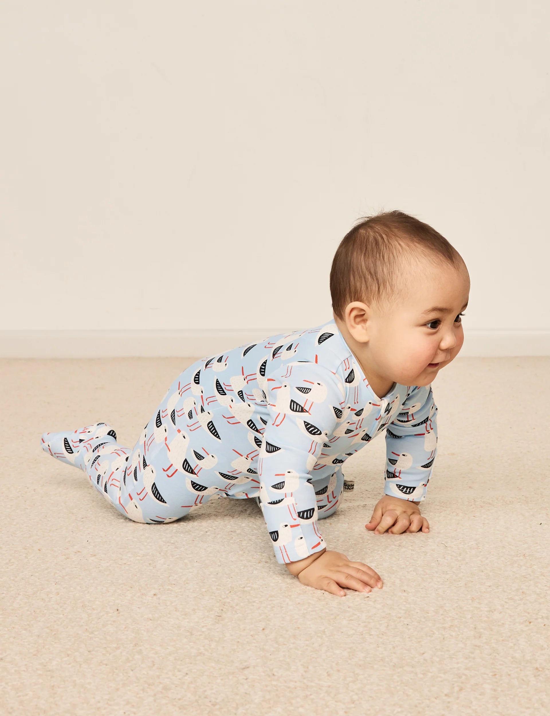 Seagulls Print Footed Zipsuit - Blue