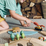 Wild Pines Train Set