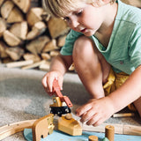 Wild Pines Train Set