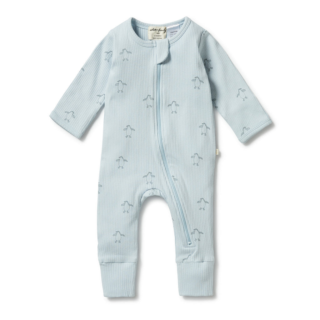 Organic Zipsuit with Feet - Arctic Blast