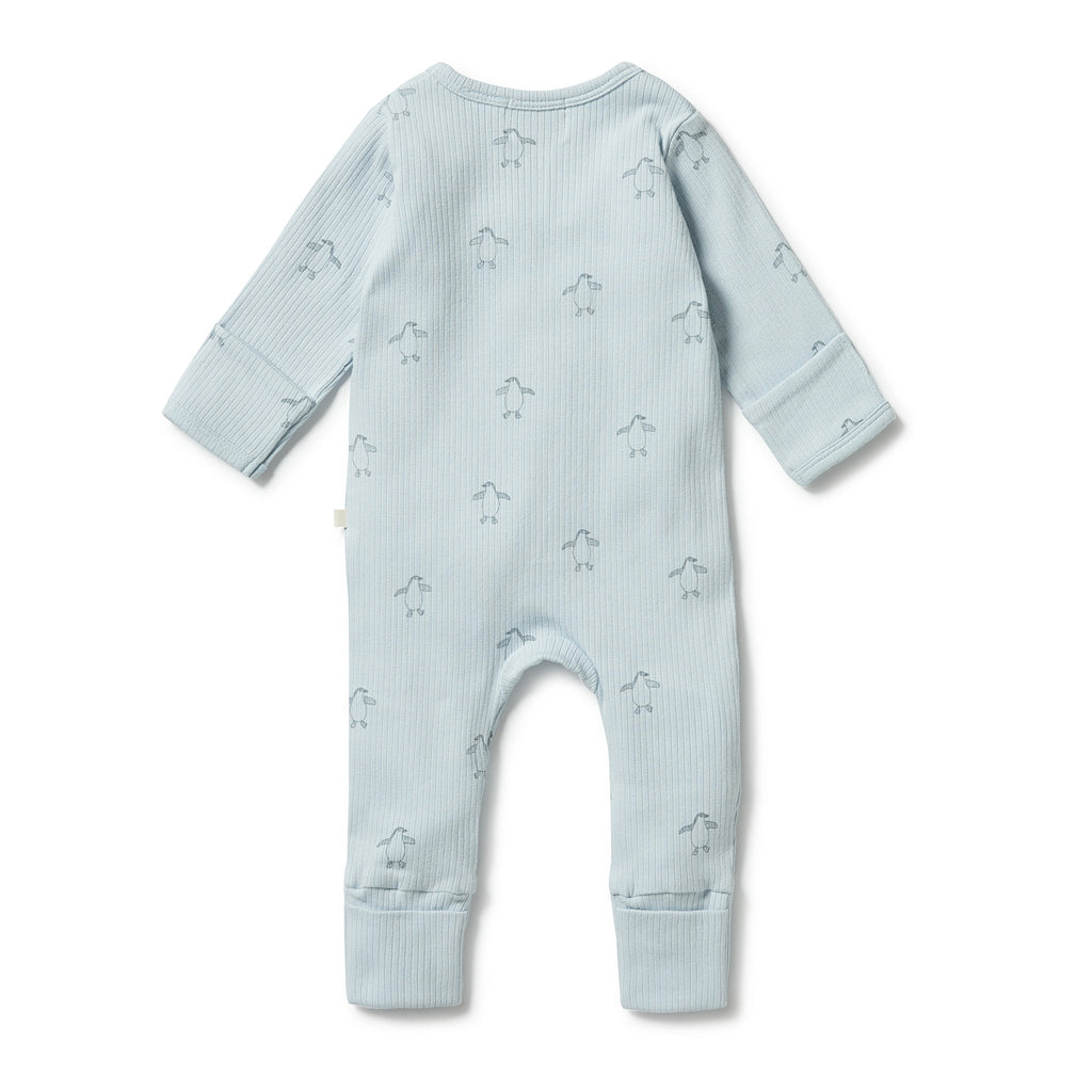 Organic Zipsuit with Feet - Arctic Blast