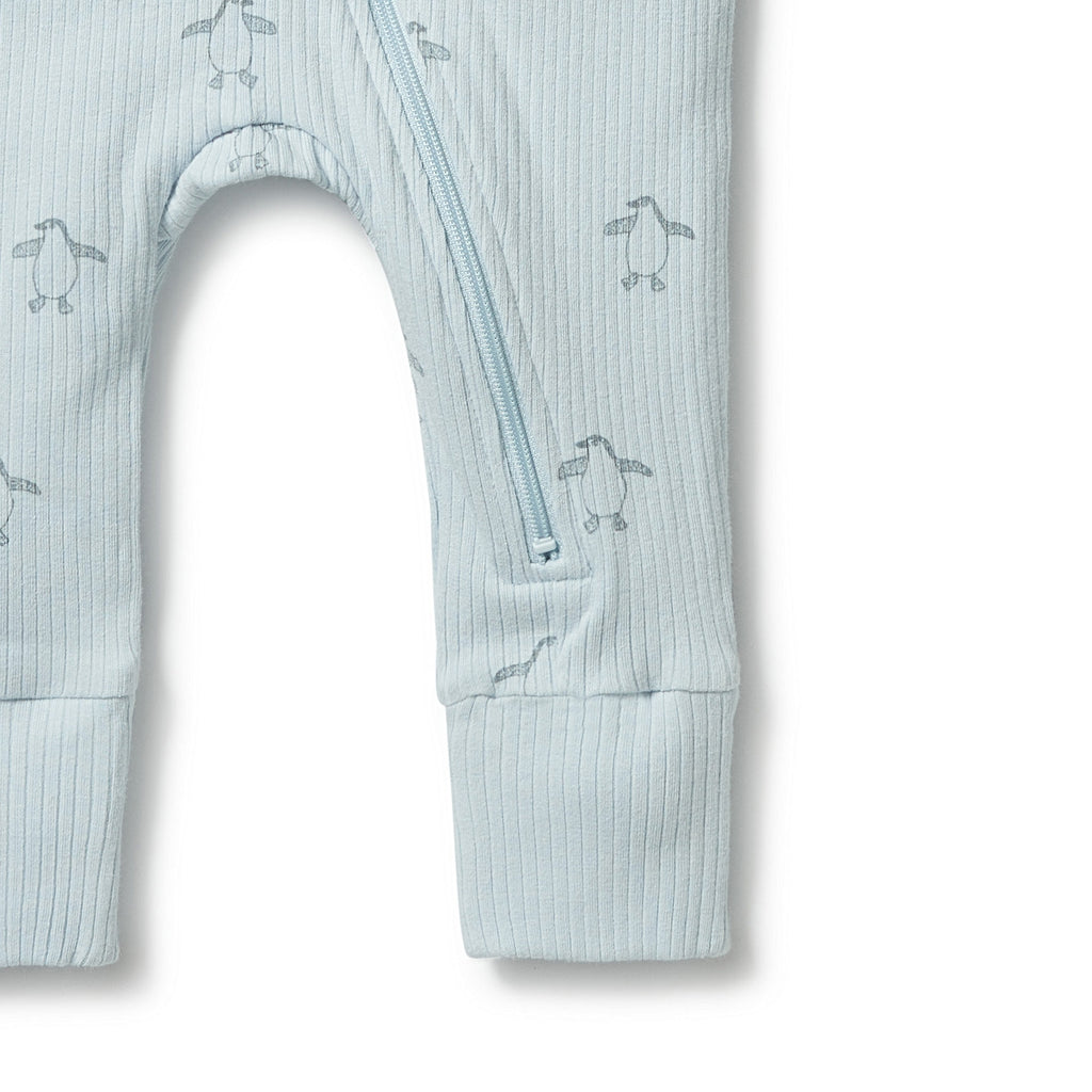 Organic Zipsuit with Feet - Arctic Blast