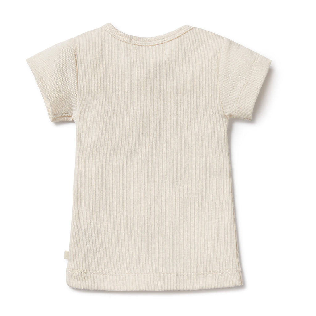 Wilson and Frenchy Tiny Turtle Organic Tee