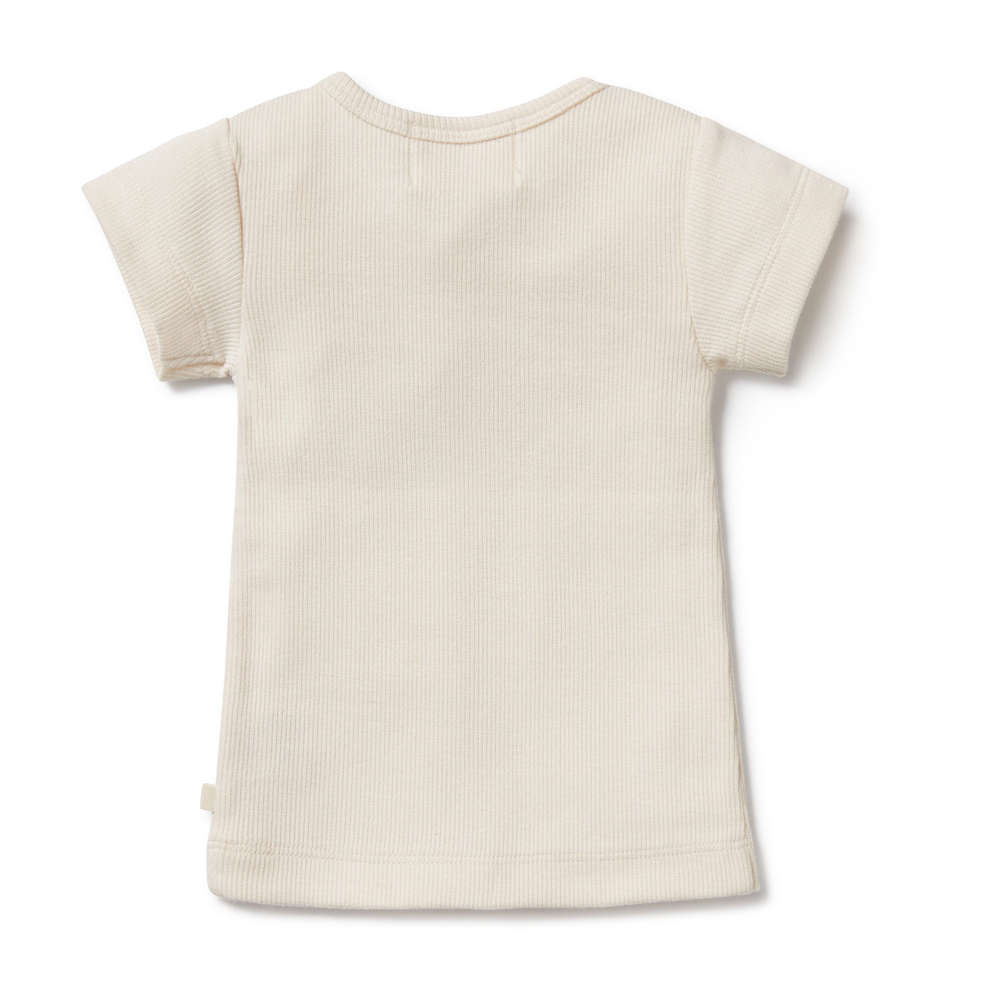 Wilson and Frenchy Tiny Turtle Organic Tee