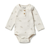 Organic Pointelle Henley Bodysuit - Little Acorn