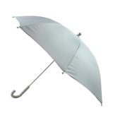 Dino Umbrella - Quarry