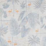 Toucan Tropical Shorts