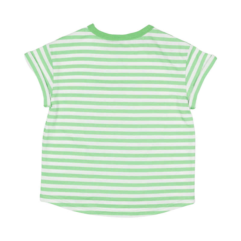 Don'T Tread On Me SS T-Shirt Boxy Fit - Green/Cream Stripe