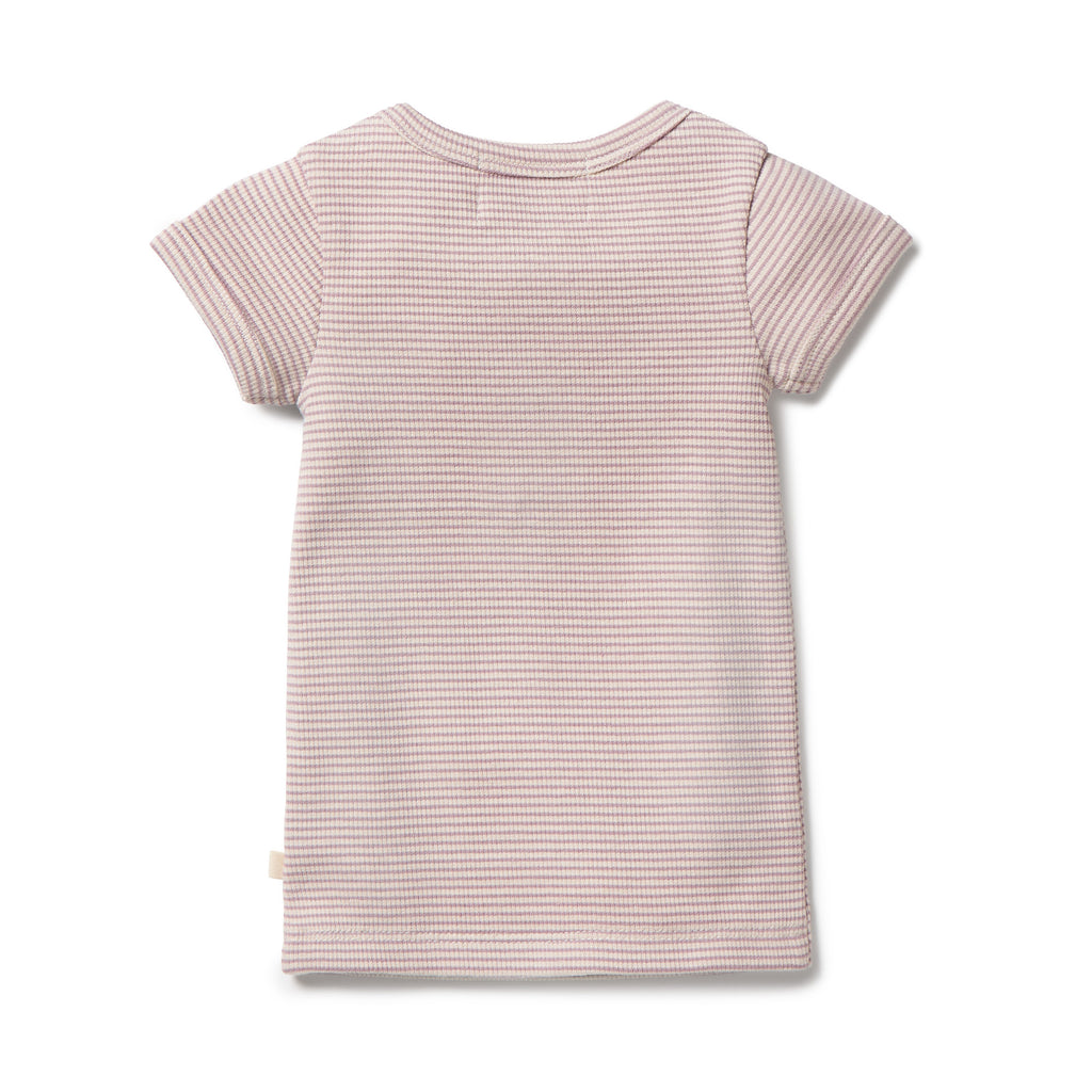 Organic Stripe Rib Henley Tee - Plum