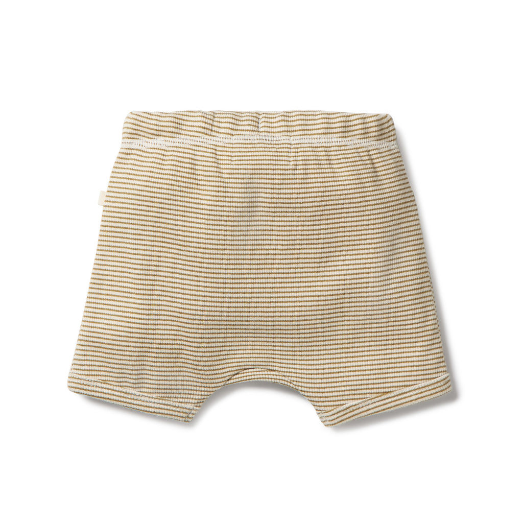 Organic Stripe Rib Tie Front Short - Leaf
