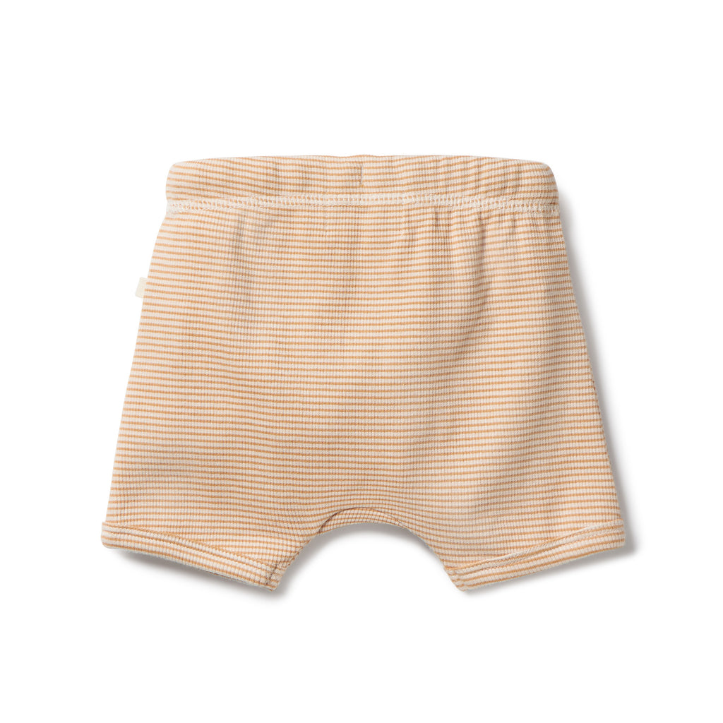 Organic Stripe Rib Tie Front Short - Toffee