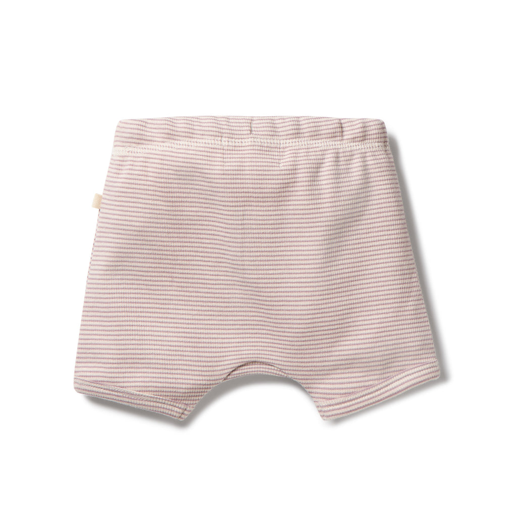 Organic Stripe Rib Tie Front Short - Plum