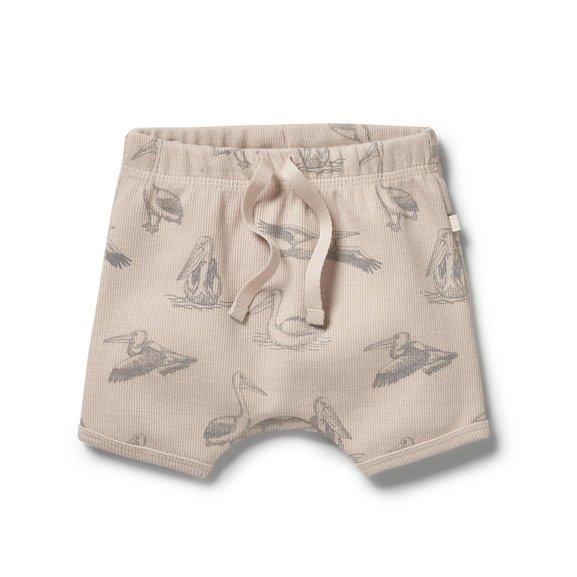 Organic Rib Tie Front Shorts - Little Pelican