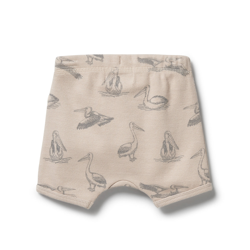 Organic Rib Tie Front Shorts - Little Pelican