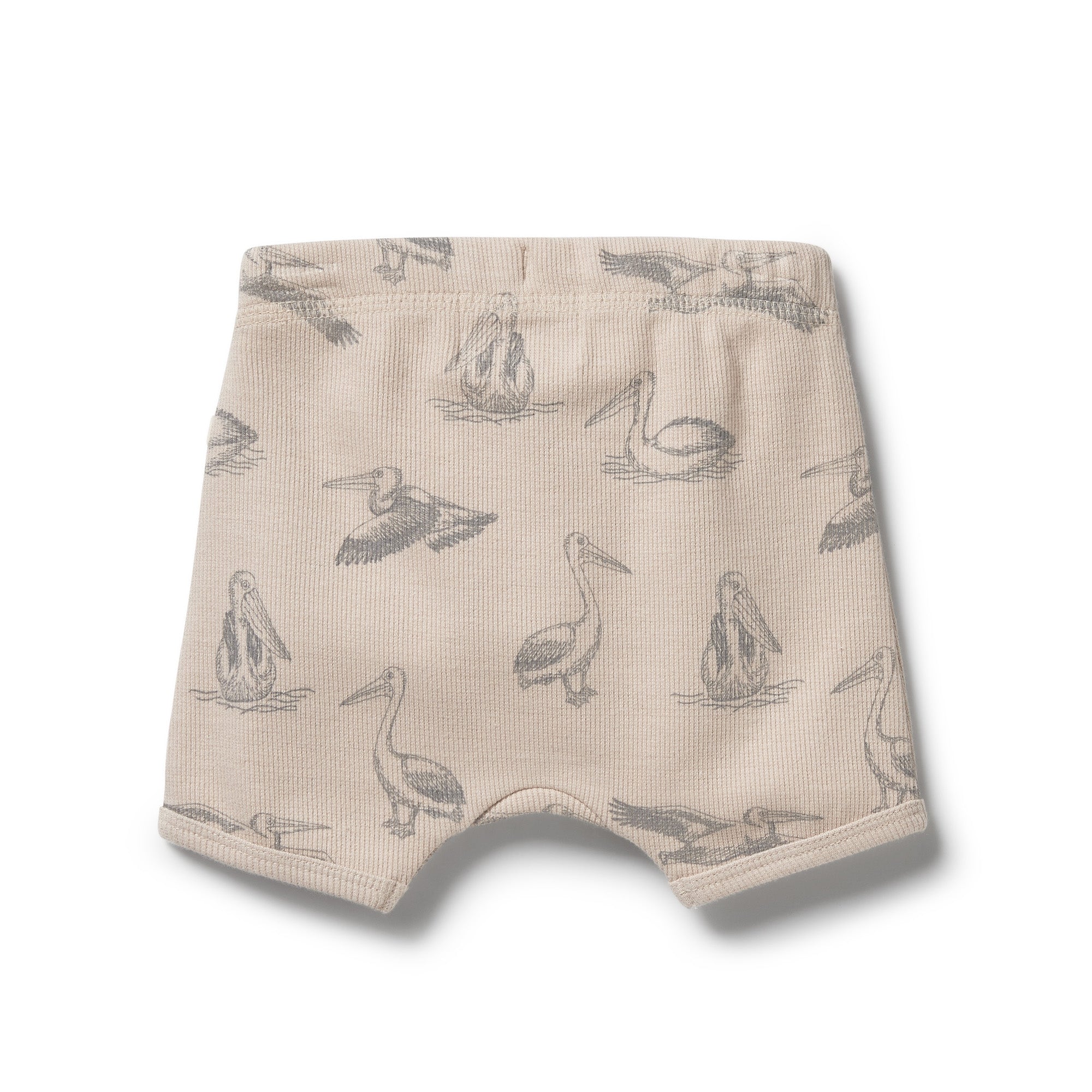Organic Rib Tie Front Shorts - Little Pelican