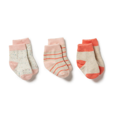 Wilson & Frenchy Organic 3 Pack Baby Socks | Silver Peony / Oatmeal / Coral